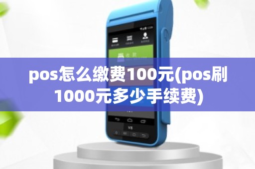 pos怎么缴费100元(pos刷1000元多少手续费)