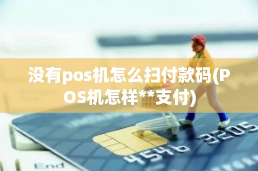没有pos机怎么扫付款码(POS机怎样**支付)