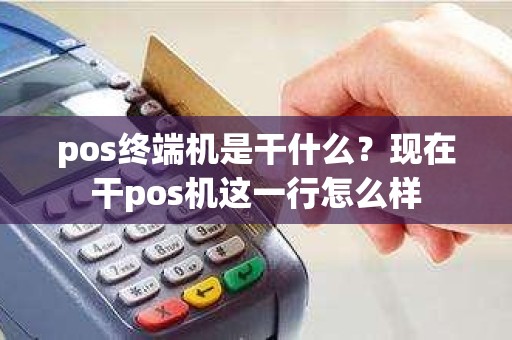 pos终端机是干什么？现在干pos机这一行怎么样