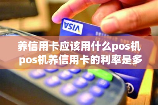 养信用卡应该用什么pos机 pos机养信用卡的利率是多少