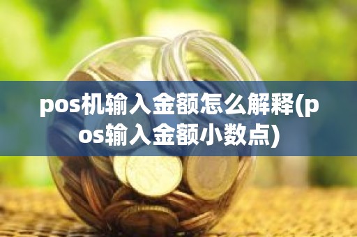 pos机输入金额怎么解释(pos输入金额小数点)