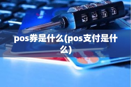 pos券是什么(pos支付是什么)