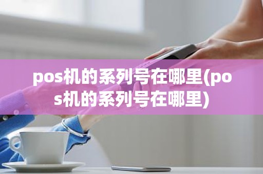 pos机的系列号在哪里(pos机的系列号在哪里)