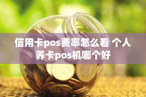 信用卡pos费率怎么看 个人养卡pos机哪个好