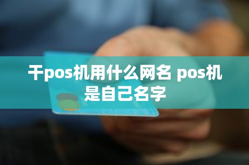 干pos机用什么网名 pos机是自己名字