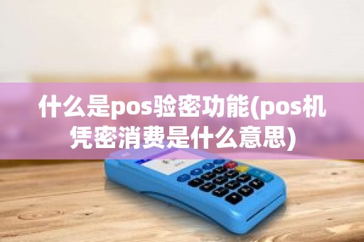 什么是pos验密功能(pos机凭密消费是什么意思)