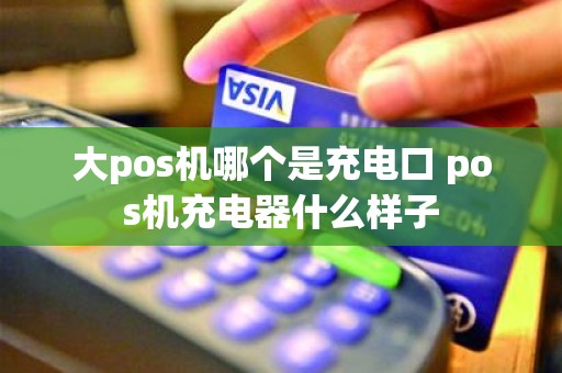 大pos机哪个是充电口 pos机充电器什么样子