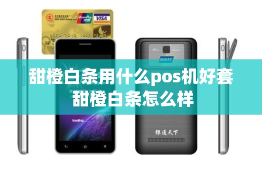 甜橙白条用什么pos机好套 甜橙白条怎么样