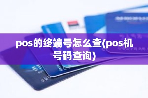 pos的终端号怎么查(pos机号码查询)