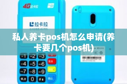 私人养卡pos机怎么申请(养卡要几个pos机)