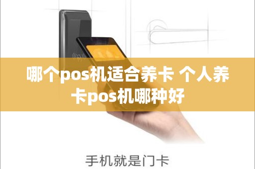 哪个pos机适合养卡 个人养卡pos机哪种好
