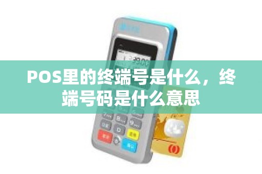 POS里的终端号是什么，终端号码是什么意思
