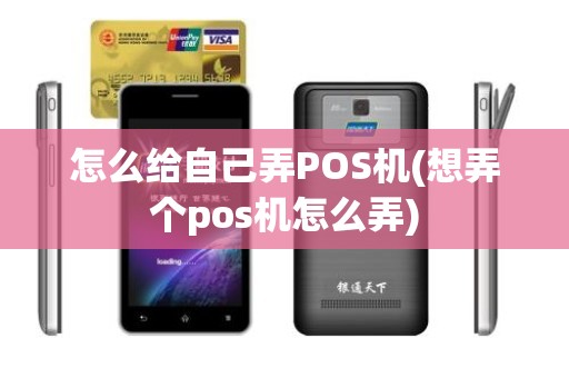 怎么给自己弄POS机(想弄个pos机怎么弄)