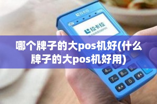 哪个牌子的大pos机好(什么牌子的大pos机好用)