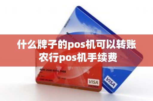 什么牌子的pos机可以转账 农行pos机手续费