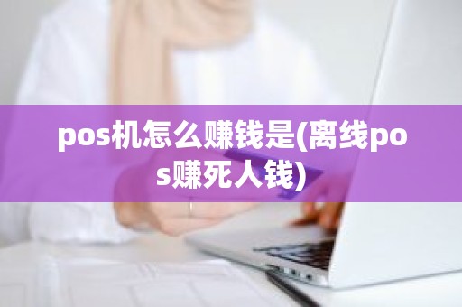 pos机怎么赚钱是(离线pos赚死人钱)