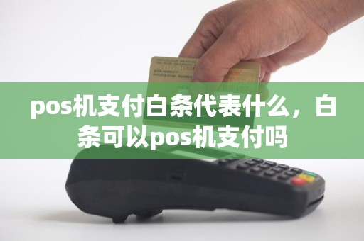 pos机支付白条代表什么，白条可以pos机支付吗