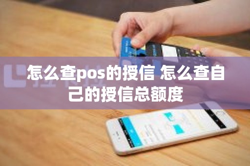 怎么查pos的授信 怎么查自己的授信总额度