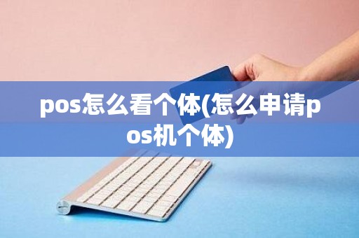 pos怎么看个体(怎么申请pos机个体)