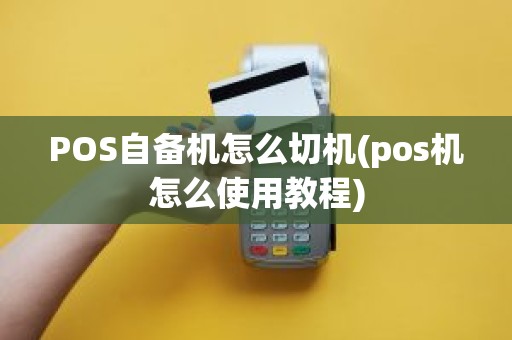 POS自备机怎么切机(pos机怎么使用教程)