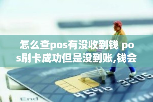 怎么查pos有没收到钱 pos刷卡成功但是没到账,钱会没了吗