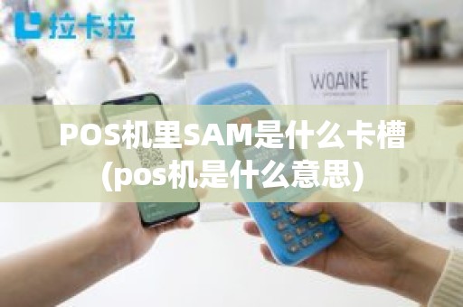 POS机里SAM是什么卡槽(pos机是什么意思)