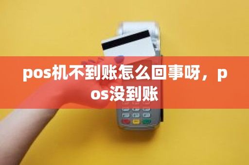 pos机不到账怎么回事呀，pos没到账
