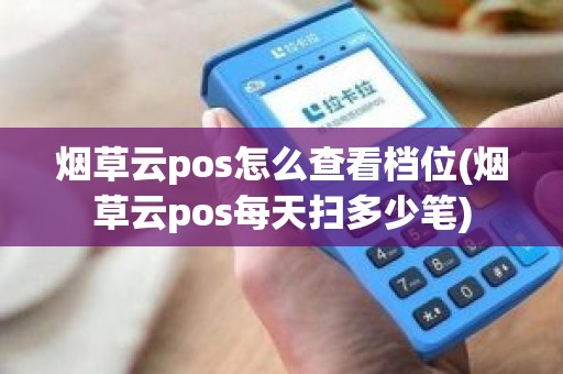 烟草云pos怎么查看档位(烟草云pos每天扫多少笔)