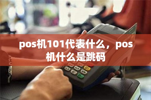 pos机101代表什么，pos机什么是跳码