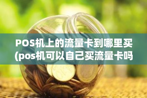 POS机上的流量卡到哪里买(pos机可以自己买流量卡吗)