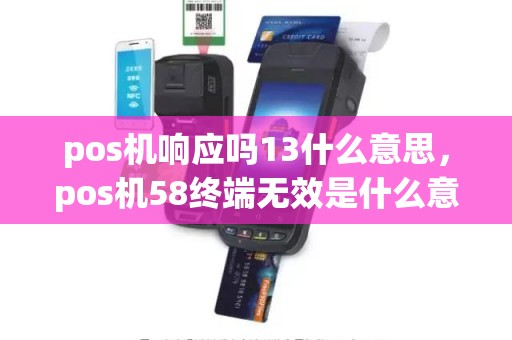 pos机响应吗13什么意思，pos机58终端无效是什么意思