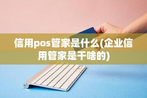信用pos管家是什么(企业信用管家是干啥的)