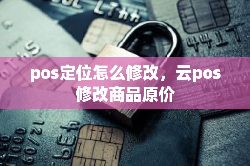 pos定位怎么修改，云pos修改商品原价