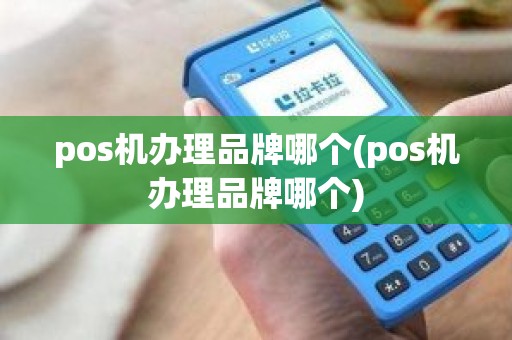 pos机办理品牌哪个(pos机办理品牌哪个)