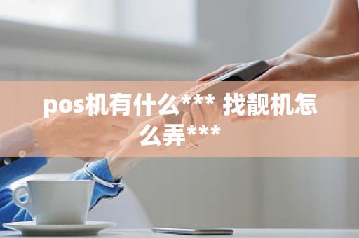 pos机有什么*** 找靓机怎么弄***
