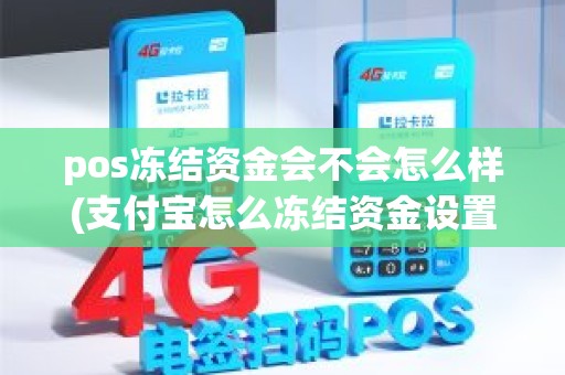 pos冻结资金会不会怎么样(支付宝怎么冻结资金设置)