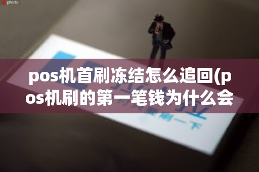 pos机首刷冻结怎么追回(pos机刷的第一笔钱为什么会冻结)