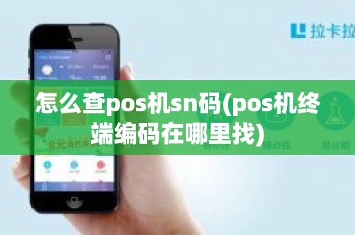 怎么查pos机sn码(pos机终端编码在哪里找)