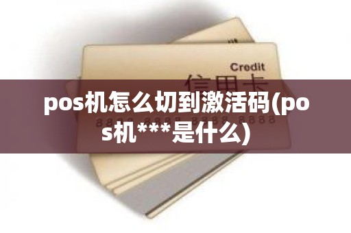 pos机怎么切到激活码(pos机***是什么)