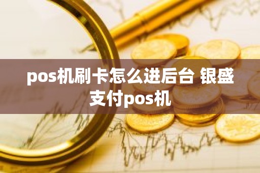 pos机刷卡怎么进后台 银盛支付pos机