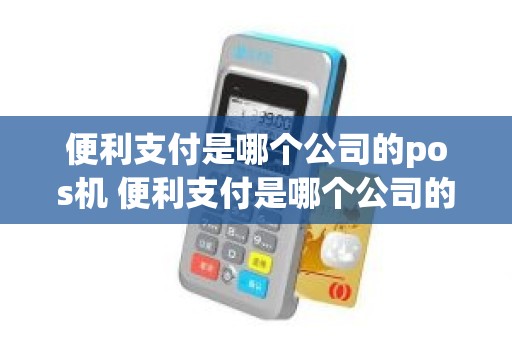 便利支付是哪个公司的pos机 便利支付是哪个公司的pos机