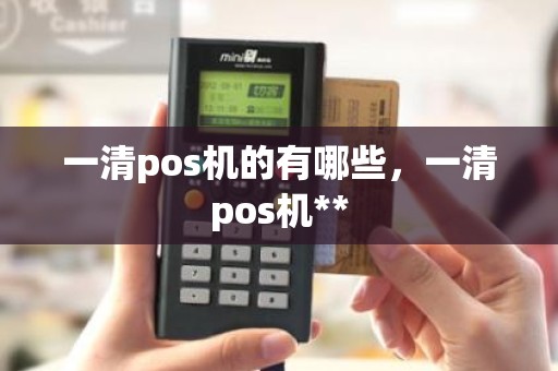 一清pos机的有哪些，一清pos机**