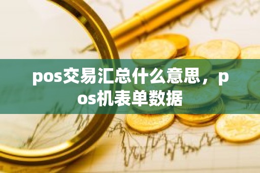 pos交易汇总什么意思，pos机表单数据