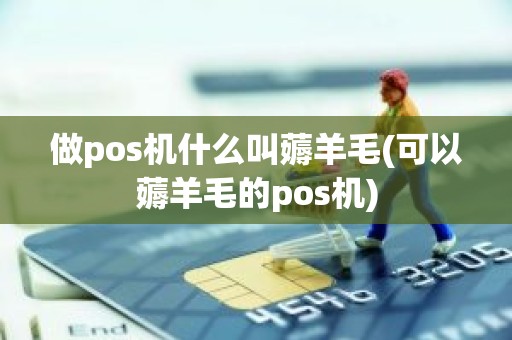 做pos机什么叫薅羊毛(可以薅羊毛的pos机)