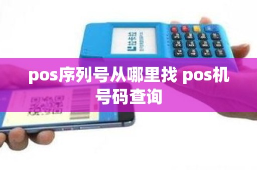 pos序列号从哪里找 pos机号码查询
