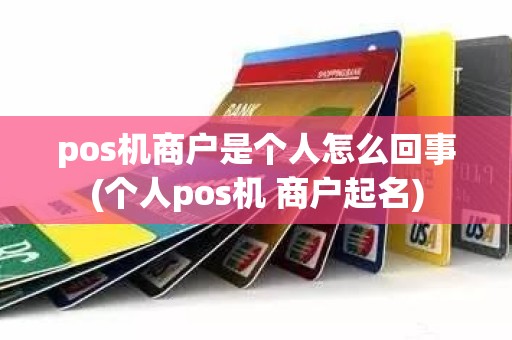 pos机商户是个人怎么回事(个人pos机 商户起名)