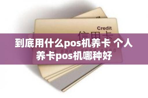 到底用什么pos机养卡 个人养卡pos机哪种好