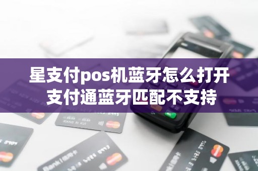 星支付pos机蓝牙怎么打开 支付通蓝牙匹配不支持