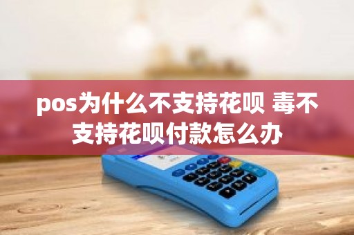 pos为什么不支持花呗 毒不支持花呗付款怎么办