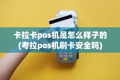 卡拉卡pos机是怎么样子的(考拉pos机刷卡安全吗)